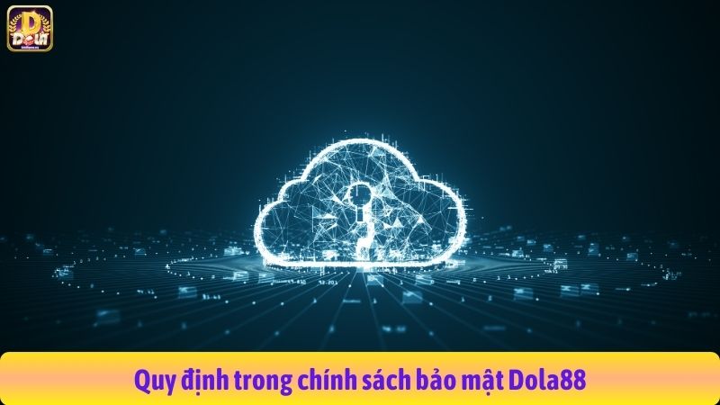 Quy định trong chính sách bảo mật Dola88